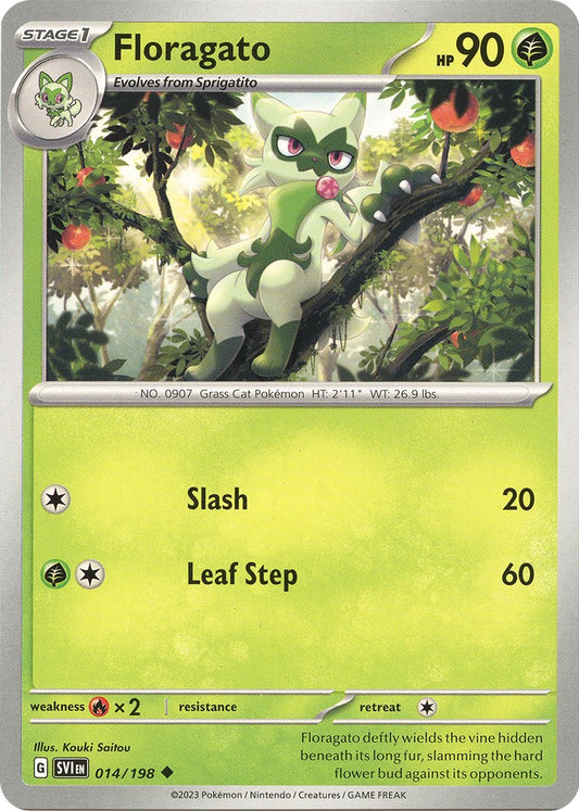 Floragato [SVI - 014]