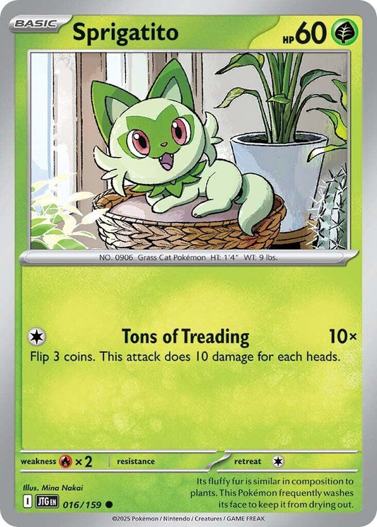 Sprigatito [JTG - 016/159]