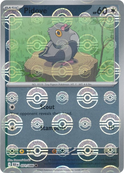 Pidove (Poke Ball Pattern)